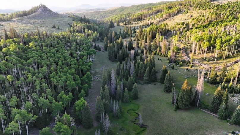 DJI_20250628065327_0180_D