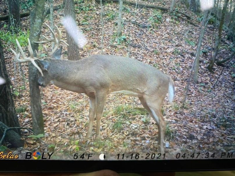 DA04BCDA-50ED-4E99-9901-345C0973F19D_1_105_c