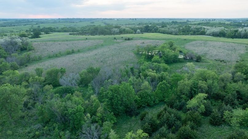 DJI_0252