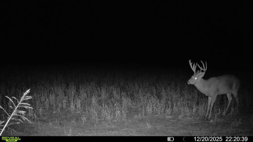 016578002608922-37-4-12202025222039-V-SYFW11764