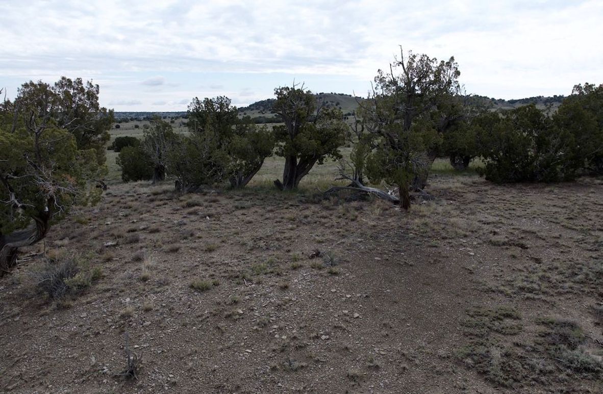 Las Animas CO 40 Carey 4