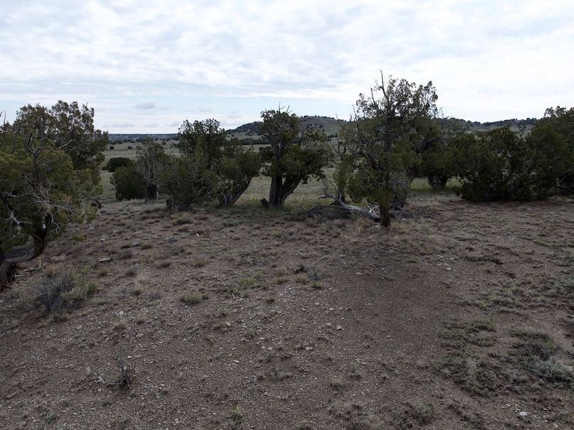 Las Animas CO 40 Carey 4