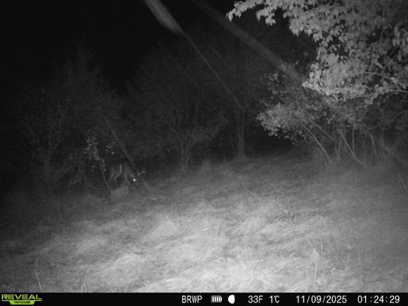 860322065924133-100-4-11092025012428-W1000717