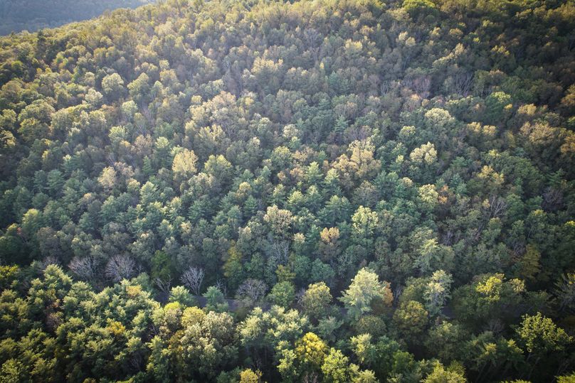 Tioga_20_Peters Photo 8