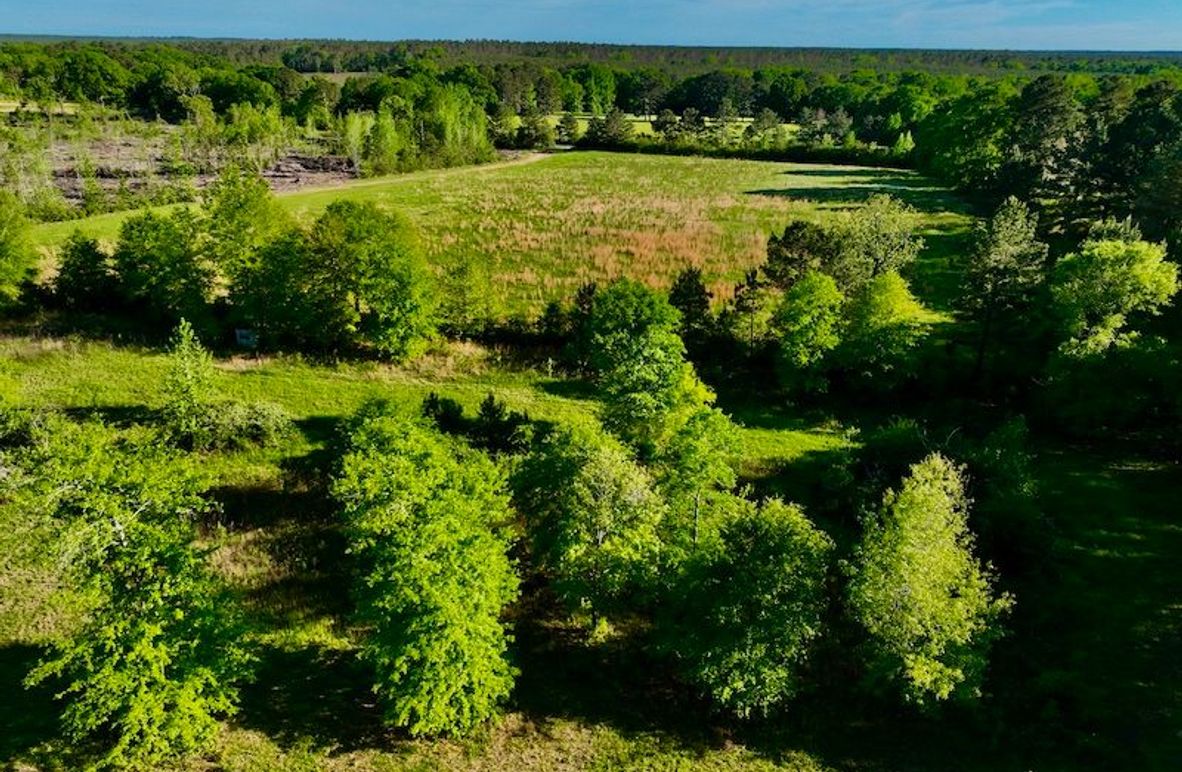 1DB7E48D-5E33-4EBF-B69A-57E655FD3547_1_201_a