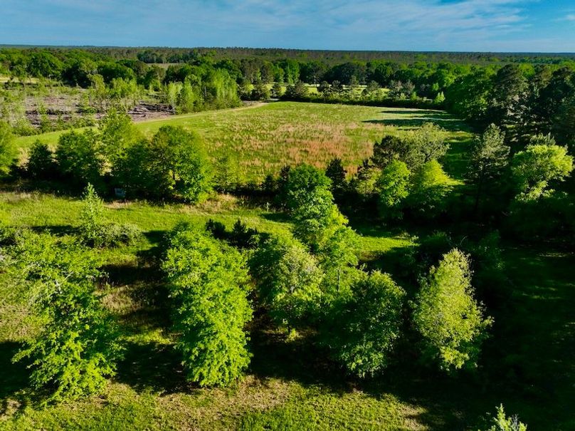 1DB7E48D-5E33-4EBF-B69A-57E655FD3547_1_201_a