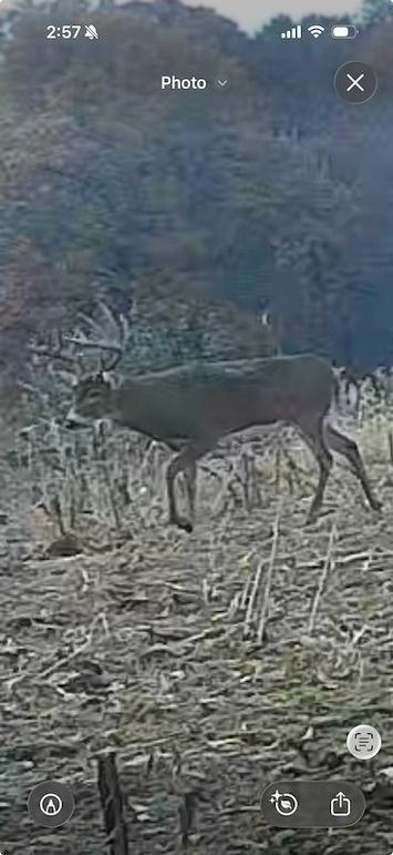 Screenshot 2026-02-10 at 2.57.15 PM