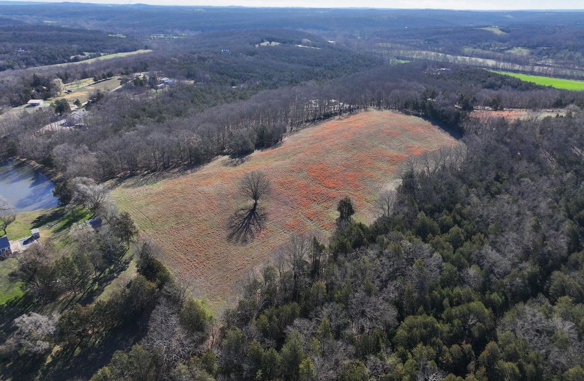 DJI_20260317093325_0972_D