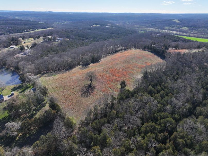 DJI_20260317093325_0972_D