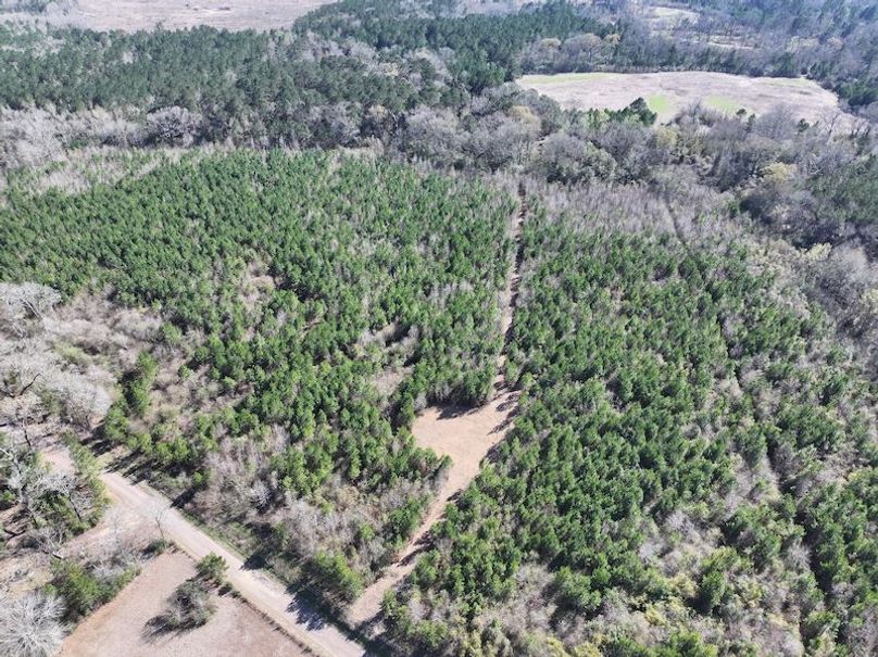 dji_fly_20260302_130638_0346_1772559698678_photo