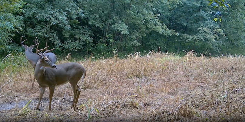 Screenshot 2025-09-24 at 3.01.19 PM