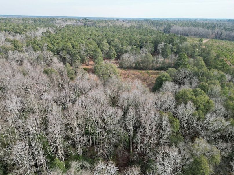 dji_fly_20260203_141842_656_1770146753600_photo