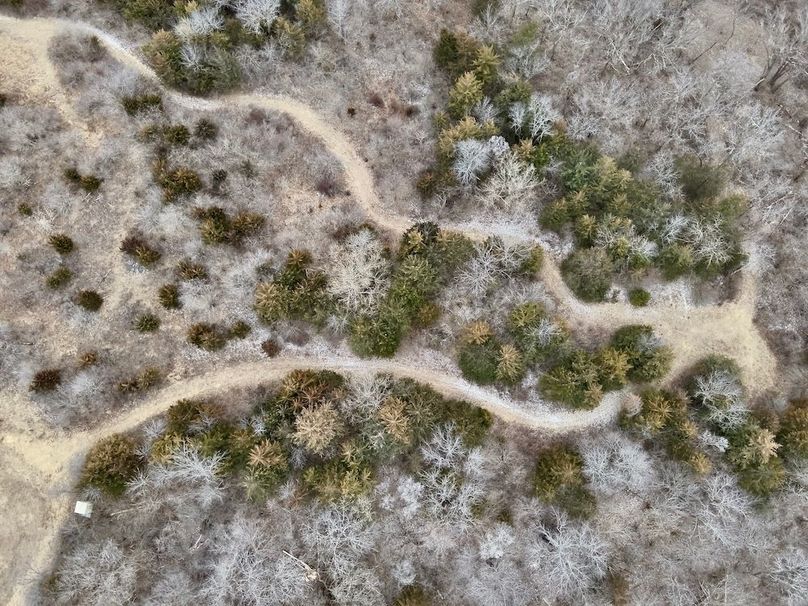 552F5BA5-C7DD-4865-9757-5AA9A0B35CA8_1_201_a