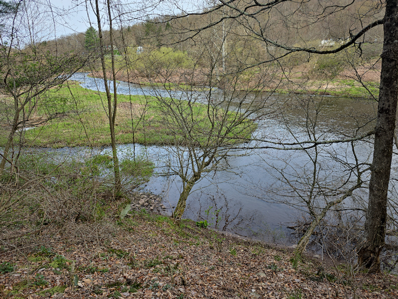 photo_95d120a6-5799-4741-90d7-de77da887aa5