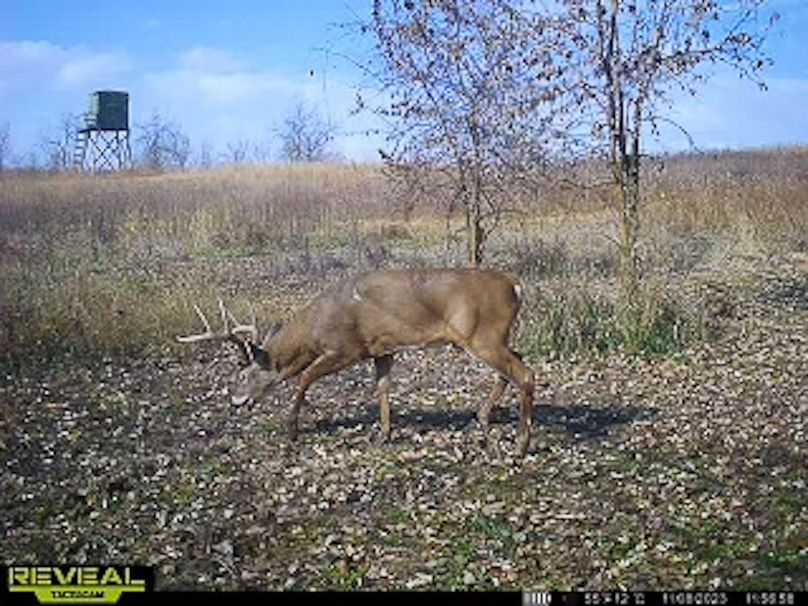 865509050418056-50-4-11082023115724-W1003193