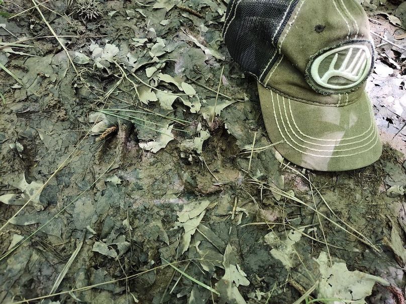 IMG_20250524_122528940