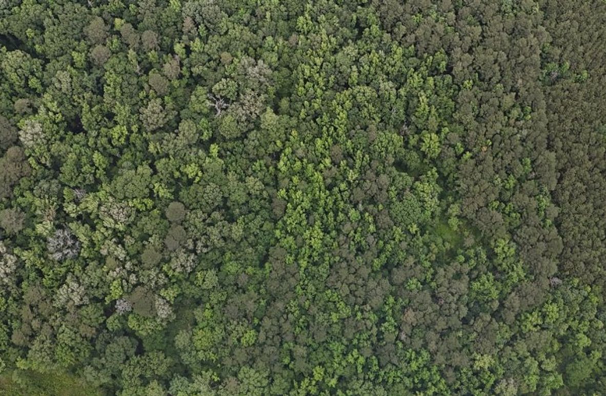 DJI_20260528015226_0017_D