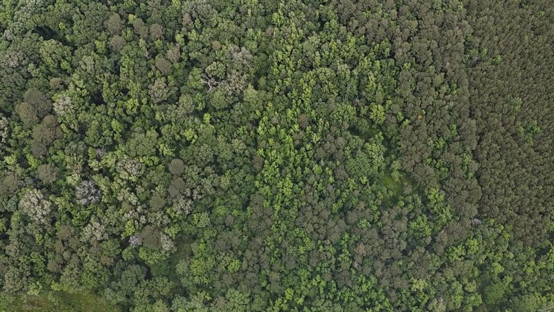 DJI_20260528015226_0017_D