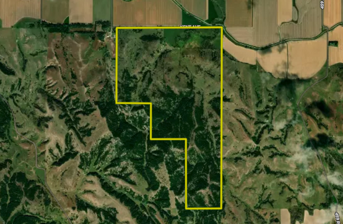 Screenshot 2025-08-19 at 9.32.35 AM