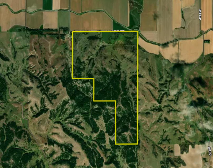 Screenshot 2025-08-19 at 9.32.35 AM