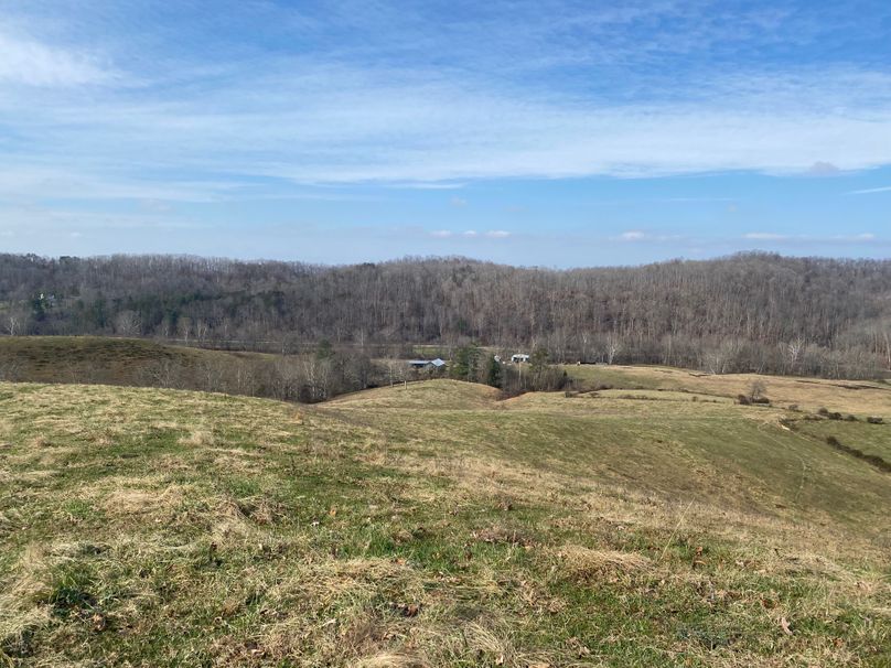 017 ground level view from the knob area near the middle of the property looking west copy