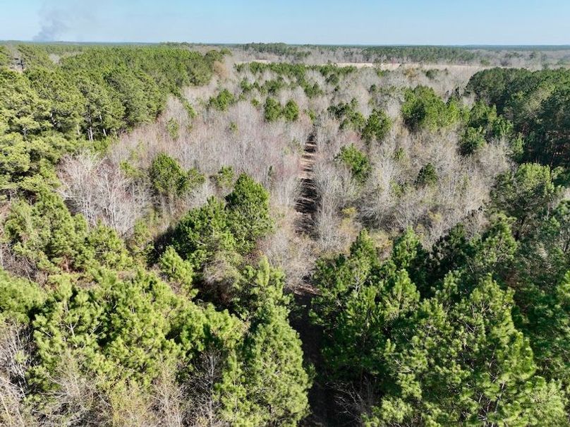 dji_fly_20260213_144036_332_1771012090283_photo