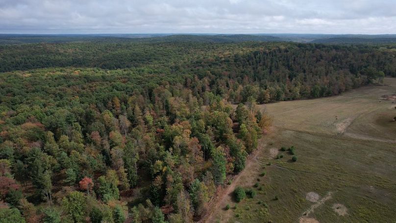 dji_fly_20250924_113534_816_1758728262987_photo