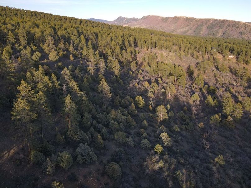 DJI_0045