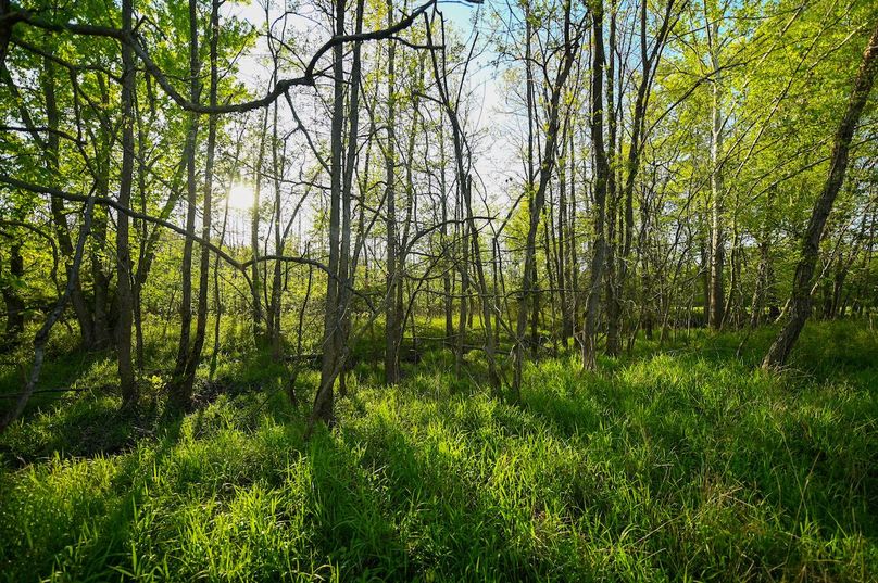 vandalia 450 (2)-2993