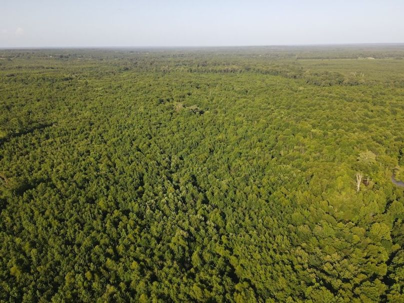 DJI_0401
