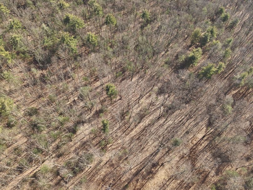 DJI_20231124123828_0014_V