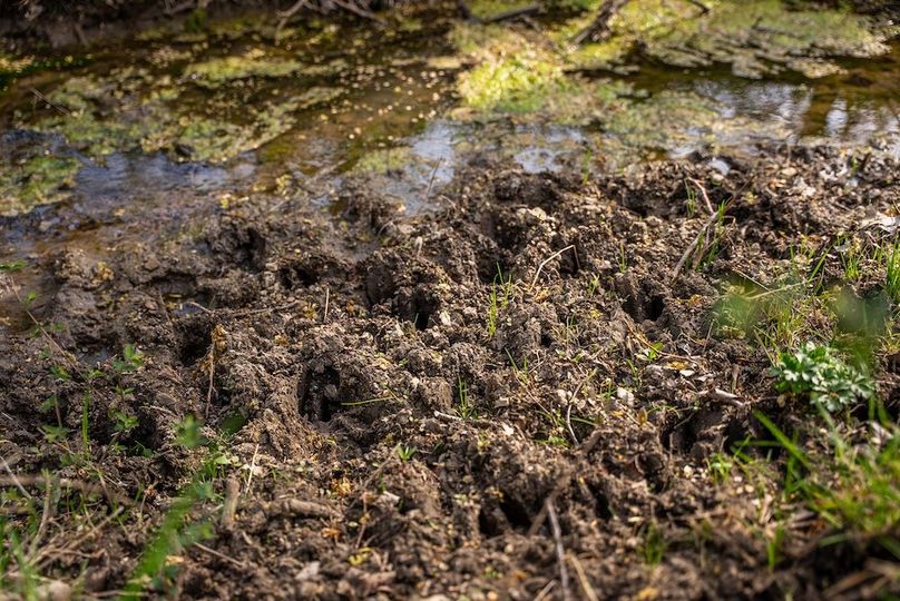 WabaunseeKansas887.39-161