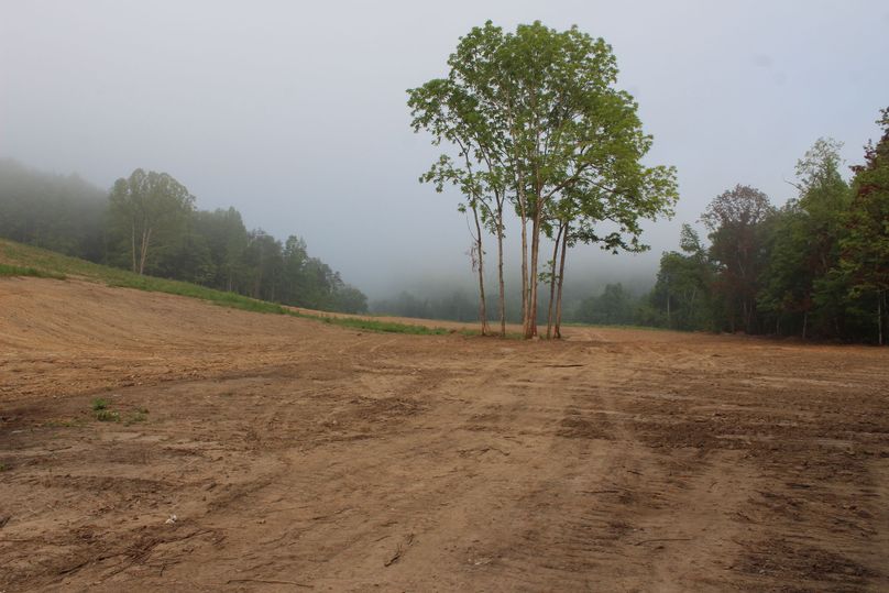 020 open field area along the north boundary