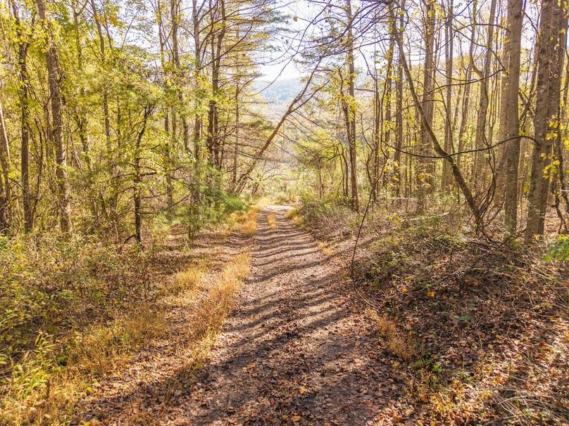 DJI_20251015101617_0054_D