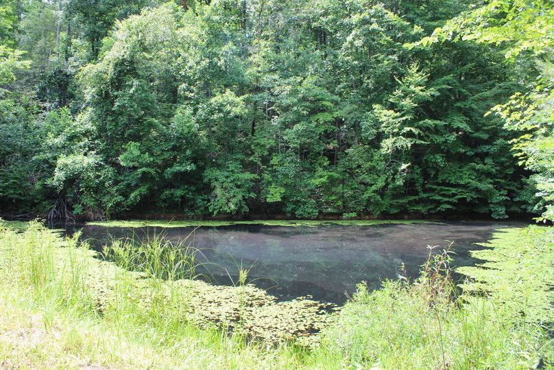 030 the secondary pond near the eastern boundary of the property