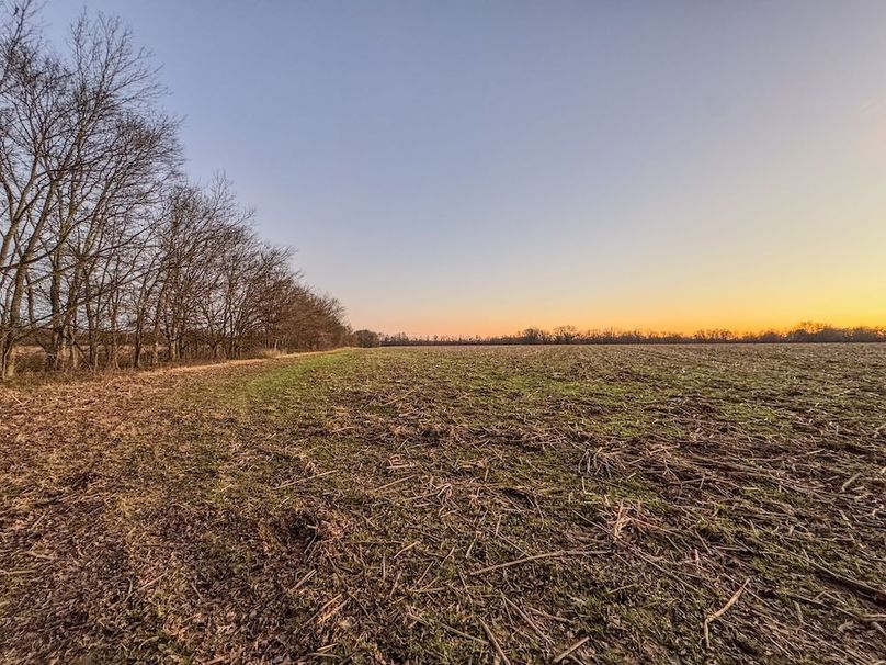 St. Francis 138.5 Calvin Parker Farms Profile -35