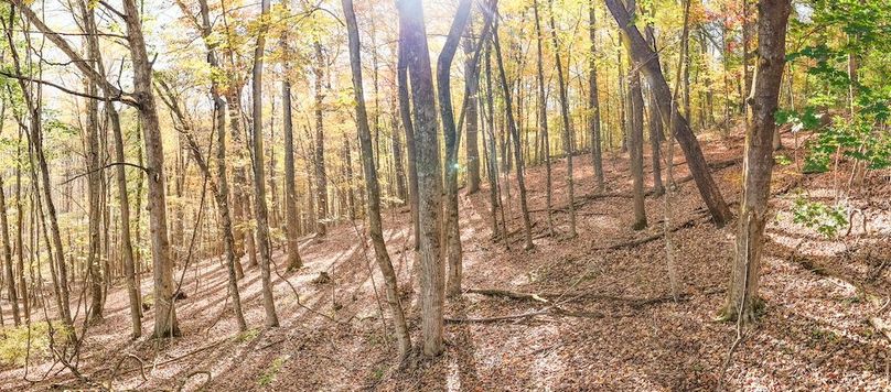 DJI_20251015100751_0047_D