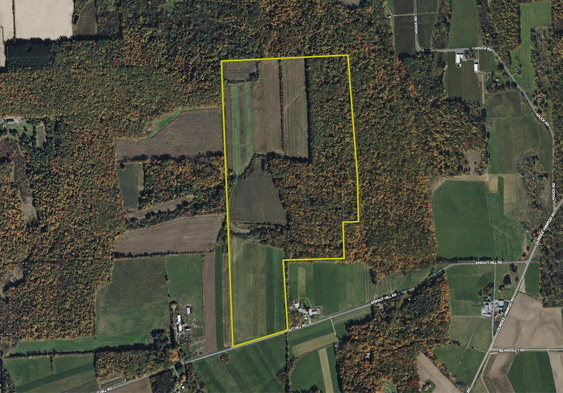 Yates Co, NY 542.aerial.Tract 3