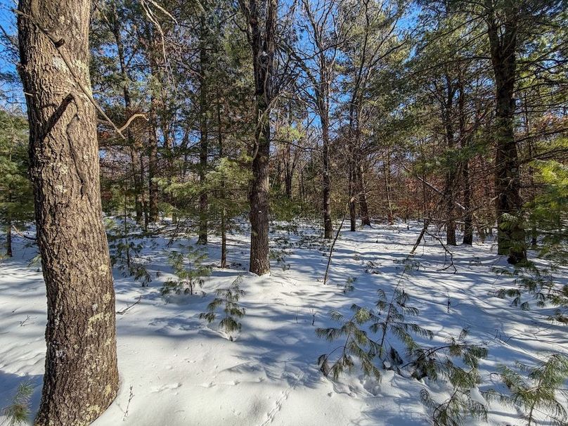 Monroe 68.2 - 91 of 120