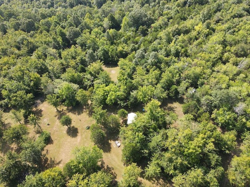 dji_fly_20240808_095556_310_1723128968542_photo