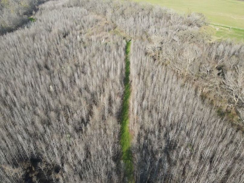 dji_fly_20240303_161854_104_1709504416154_photo copy