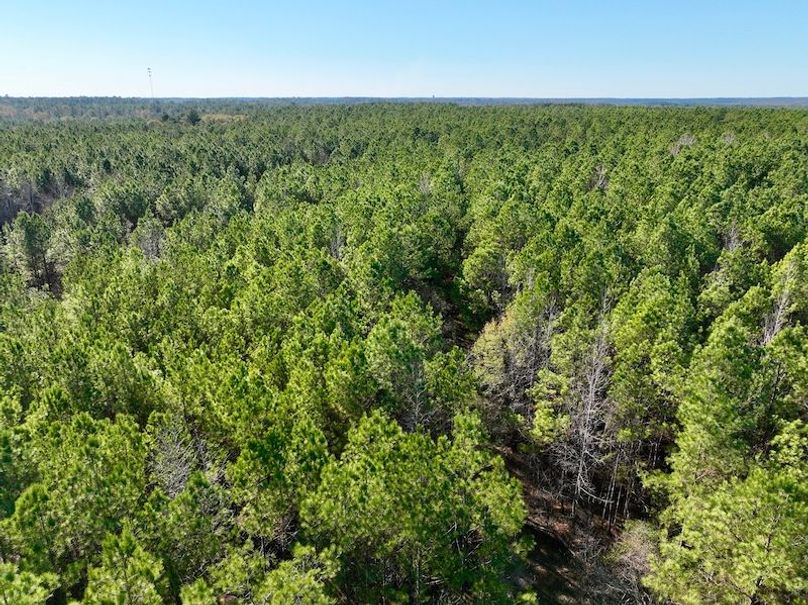 dji_fly_20251222_141956_96_1766431467526_photo