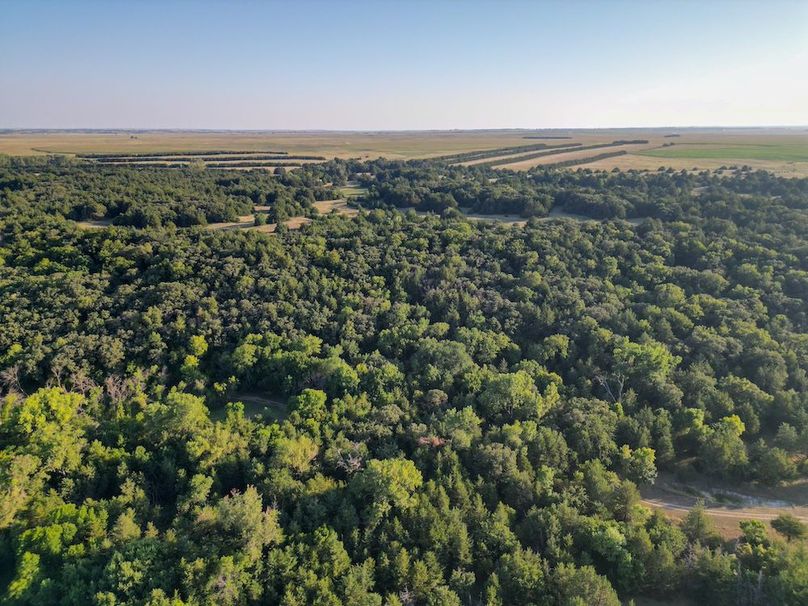 DJI_0169