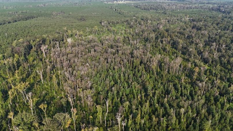 dji_fly_20250903_215852_0022_1756926953057_photo