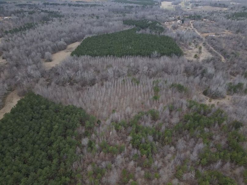 DJI_0041