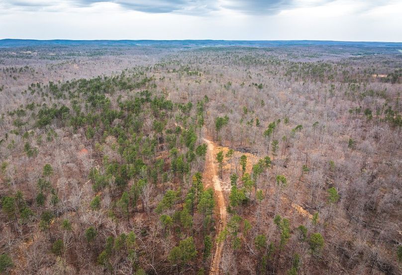 DJI_20250403135747_0619_D