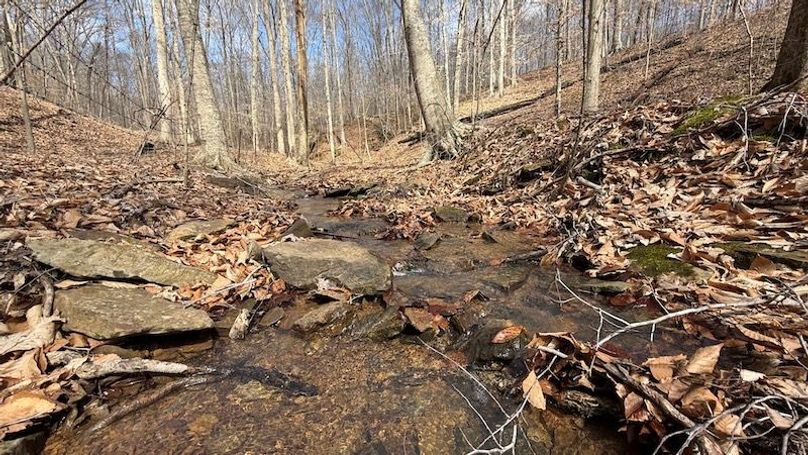 Butler 118 Capella16