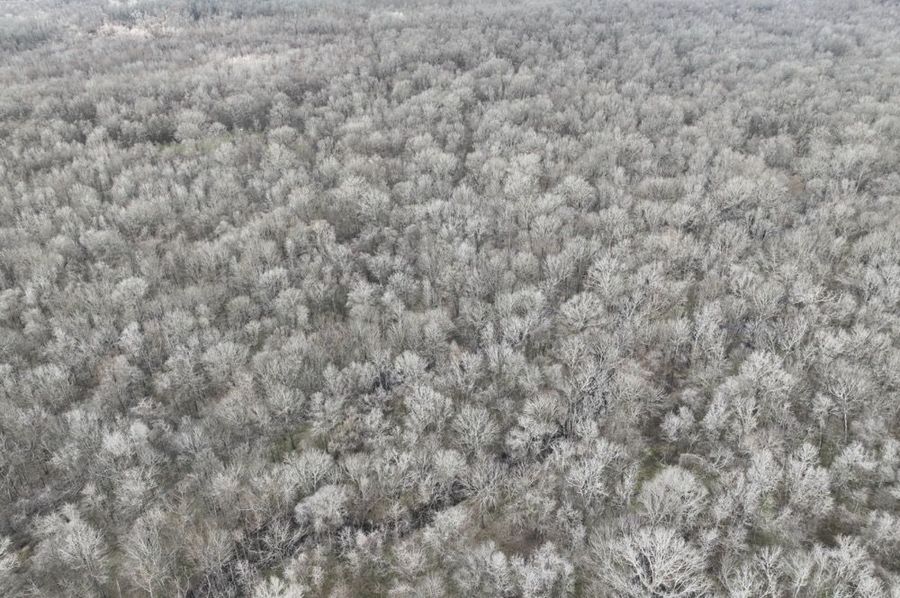 dji_fly_20250207_121258_994_1738961459046_photo