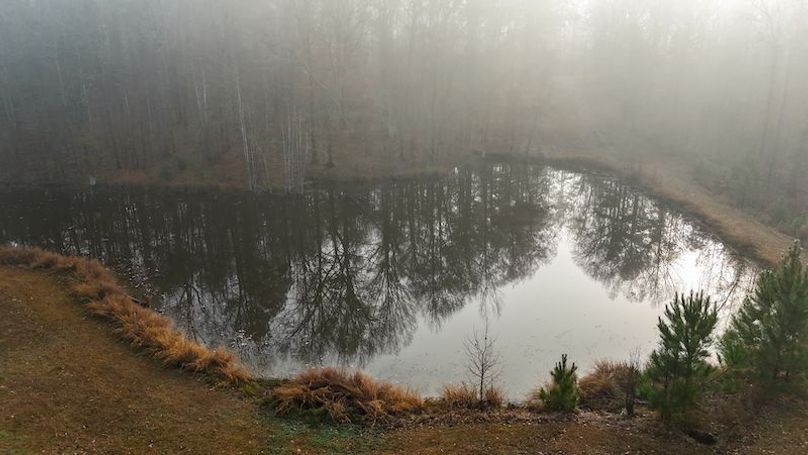 Claiborne Co - 274 - Marian-112