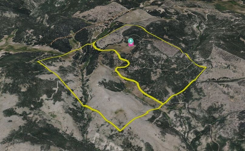 3D View showing logging and transmission lines